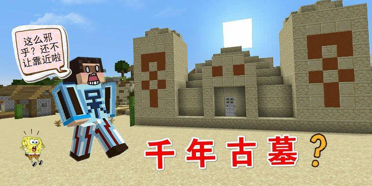 呆呆解说呆呆生存记