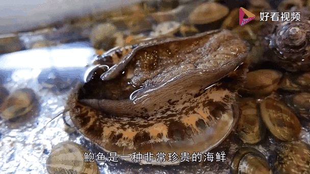 鲍鱼加工处理方法