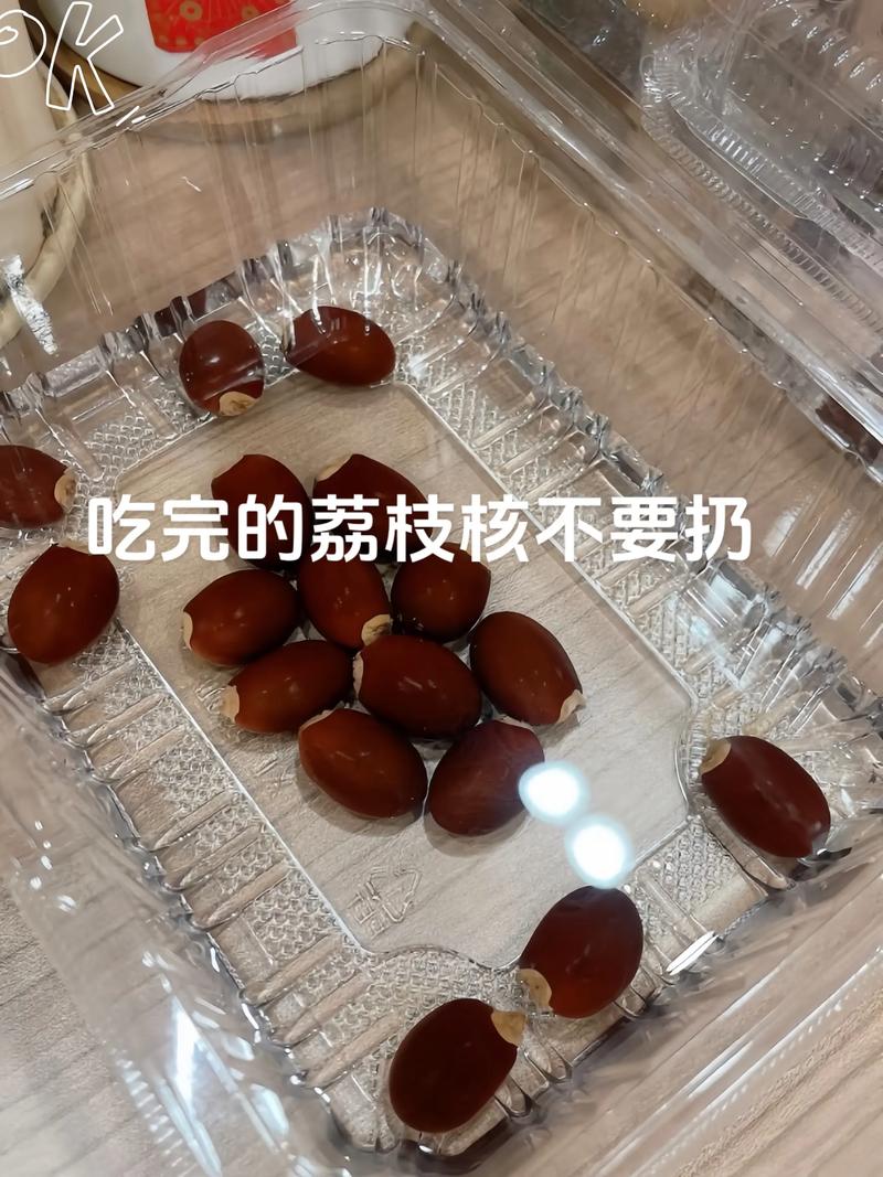 荔枝fm如何赚钱学生党
