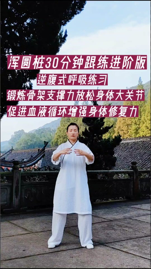 20分钟口令站桩视频
