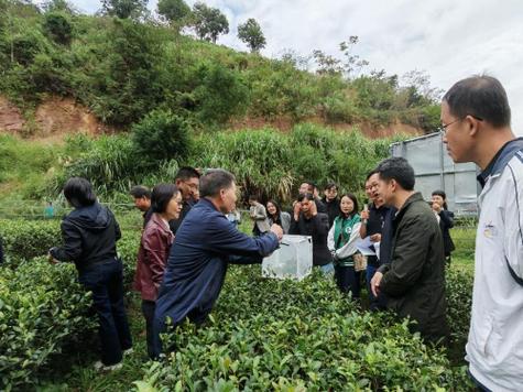 茶台上水时间怎么调整