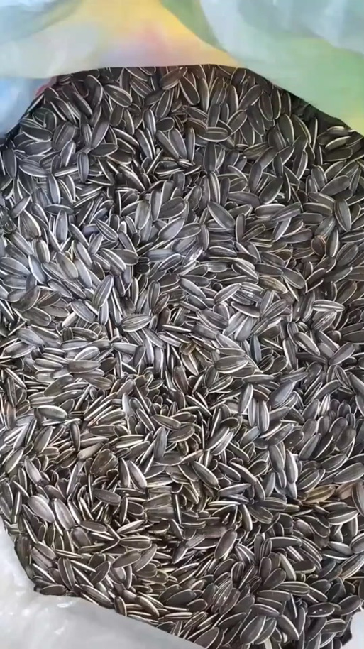 内蒙最出名的三个瓜子