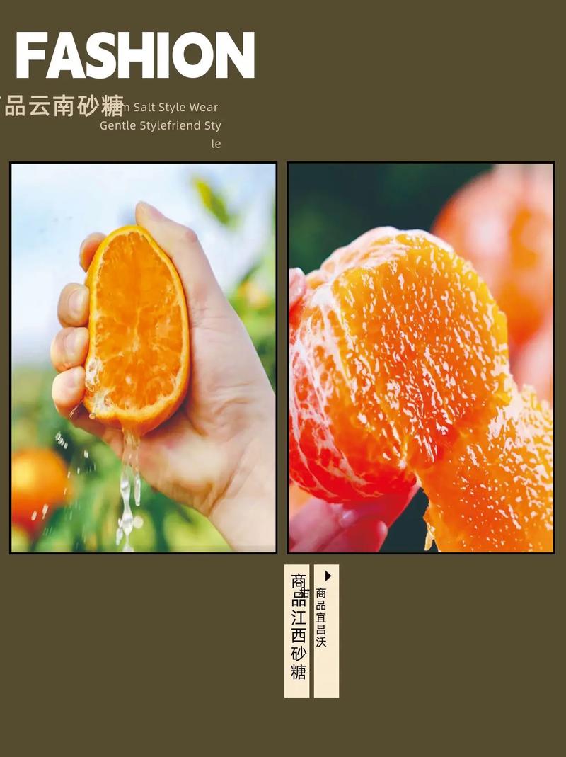 桔子网络科技
