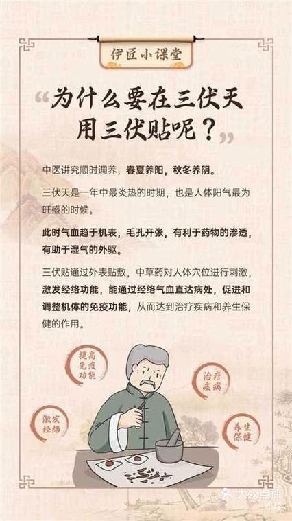 三伏贴的作用和功效