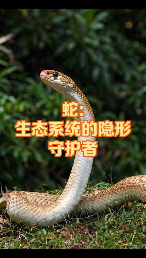 windows禁止安装软件
