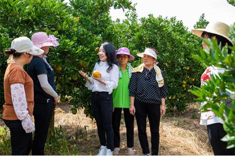 果园聊天是真人聊天吗