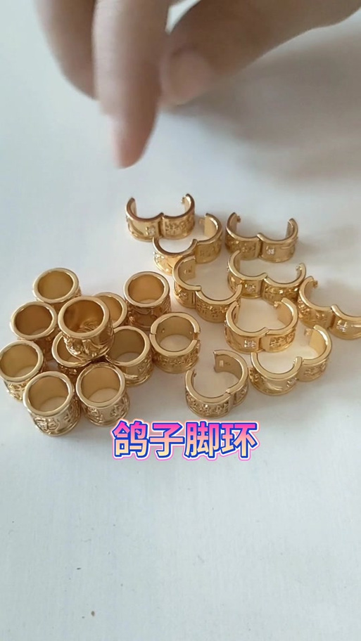 台湾鸽子脚环代码图标