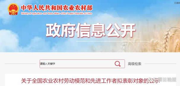 政府信息公开期限20个工作日