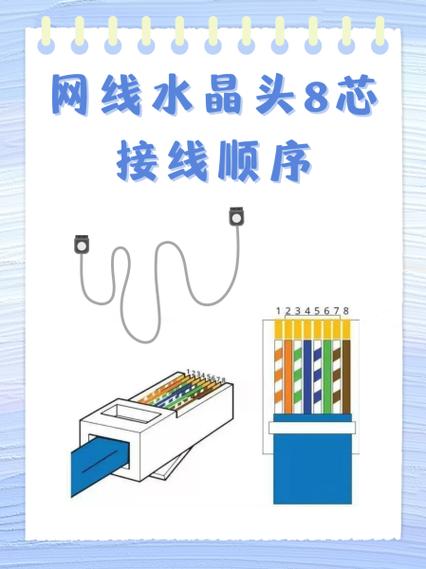 八根网线怎么接插座