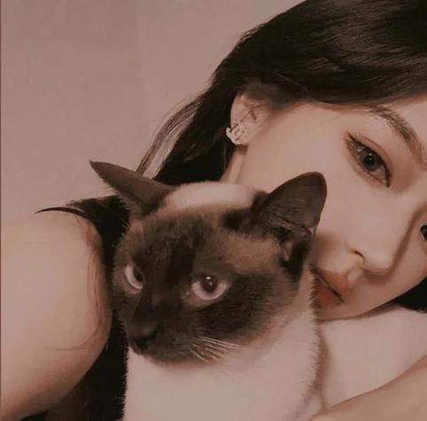 女生换头像暗示什么