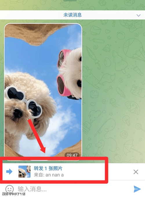 telegream如何汉化