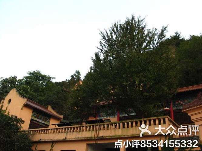 白云观上午去下午去好