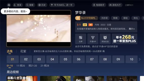 电视怎样下载极光TV