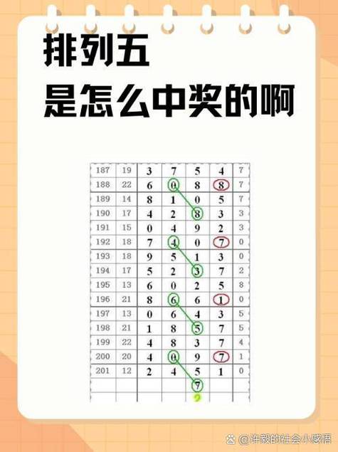 排列五开奖号码结果