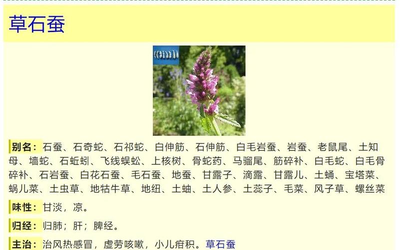 中草药期刊