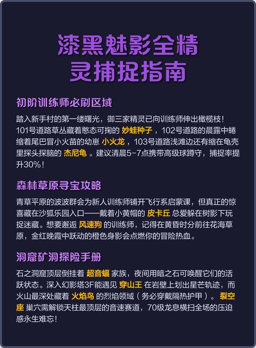 漆黑的魅影飞膝踢哪里学