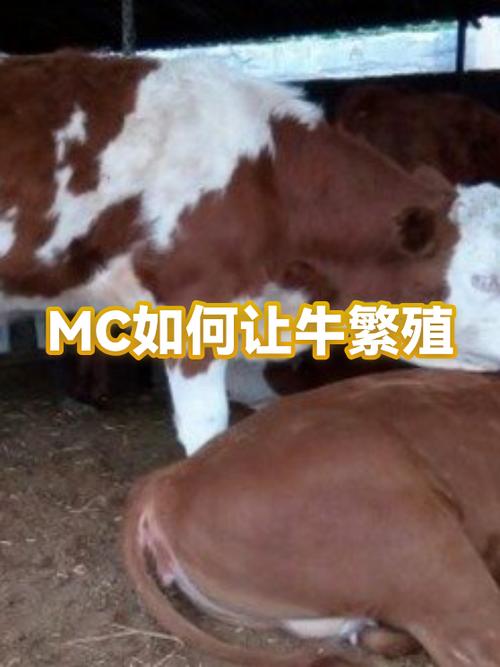 我的世界牧场繁殖环境
