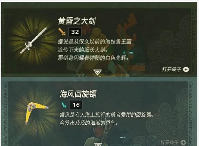 塞尔达织梦岛回旋镖怎么拿