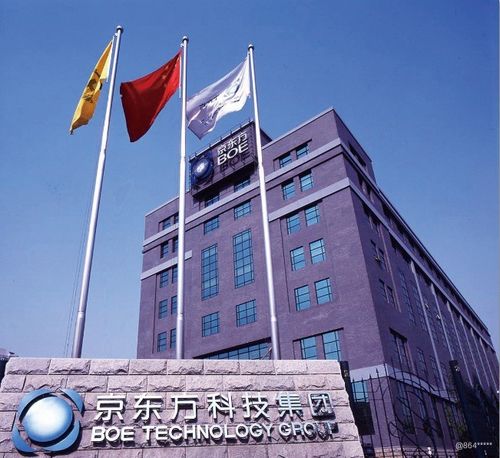京东方是什么样的公司