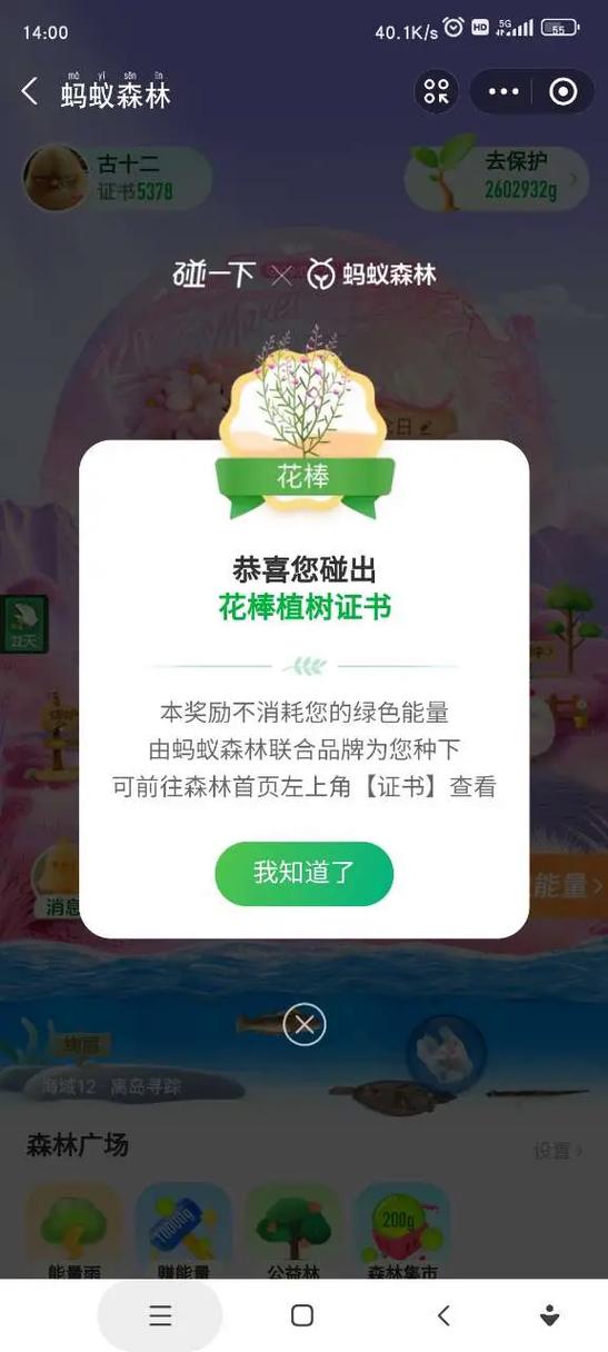 支付宝种树证书怎么领