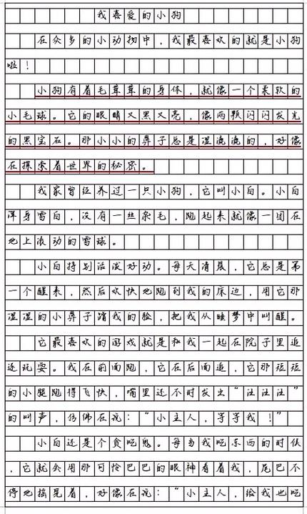 小金鱼短文图标