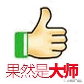 现在你见到了表情包