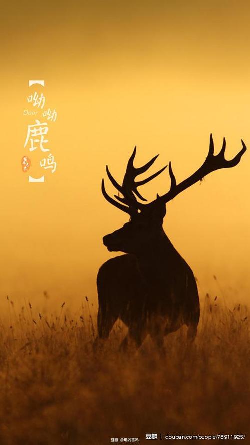鹿鸣呦呦图标