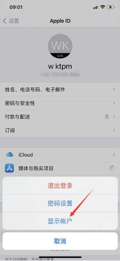 苹果id在哪里查看