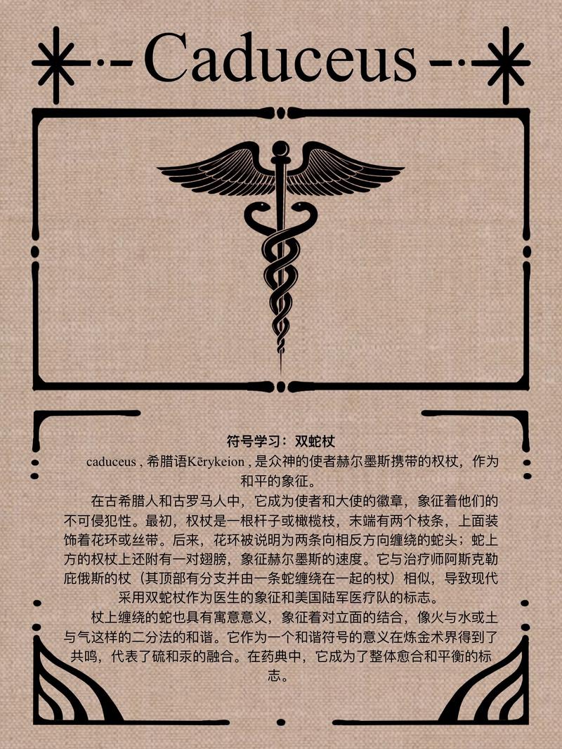 至尊宝花式符号