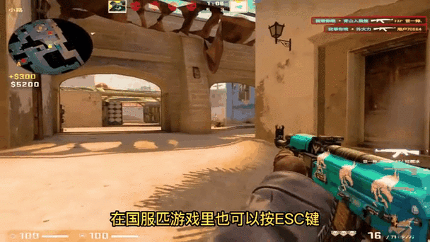 csgo技术暂停什么意思