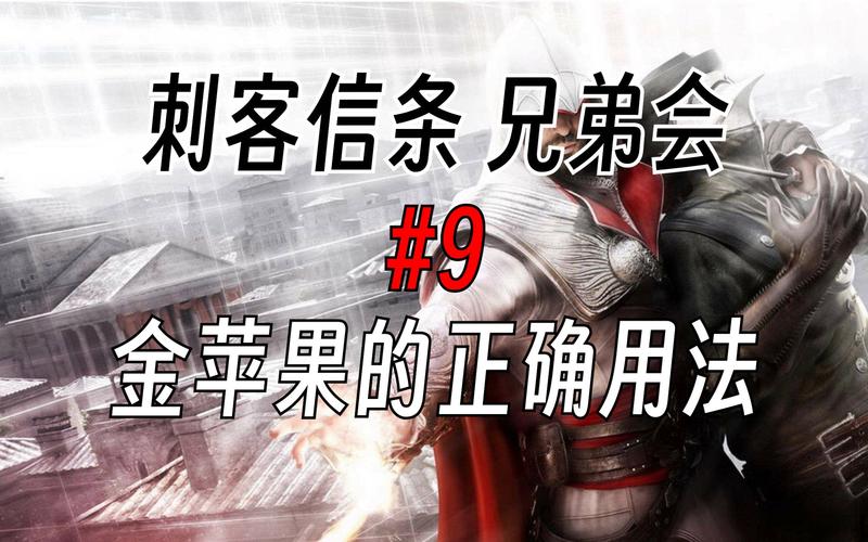 兄弟会金苹果怎么用