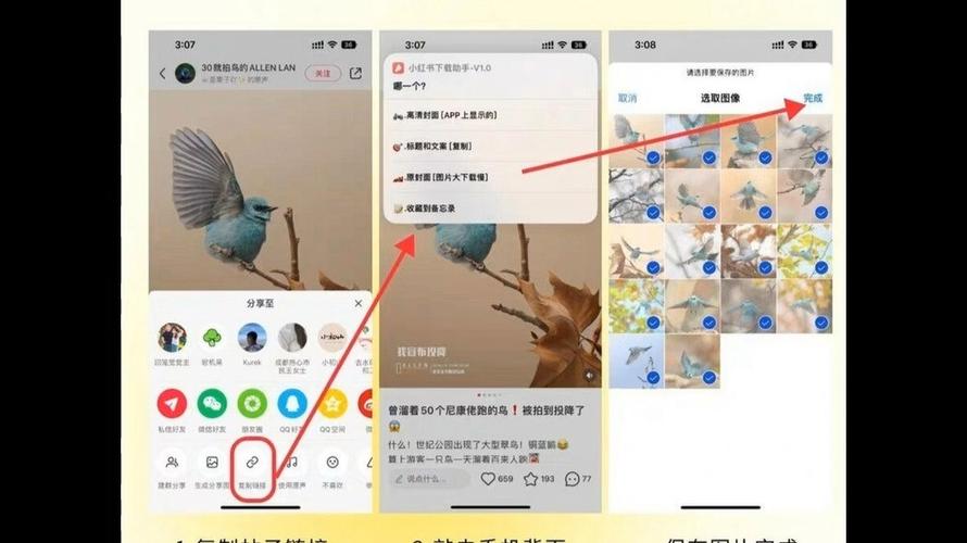 小红书无水印ios捷径