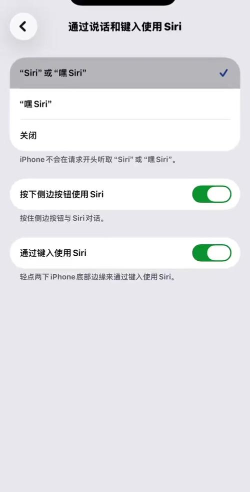 为什么siri变成打字了图标
