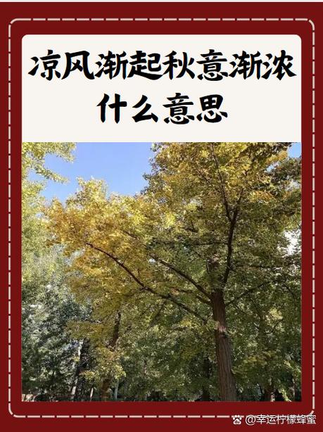 一九从哪个节气算起图标