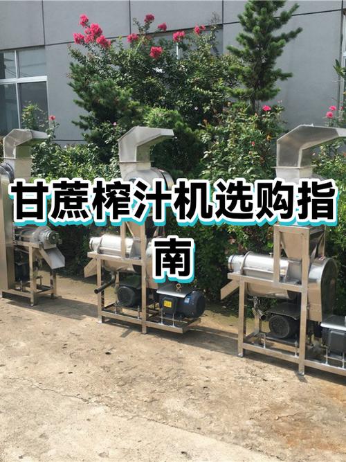 甘蔗榨汁机哪个牌子最好最实用的