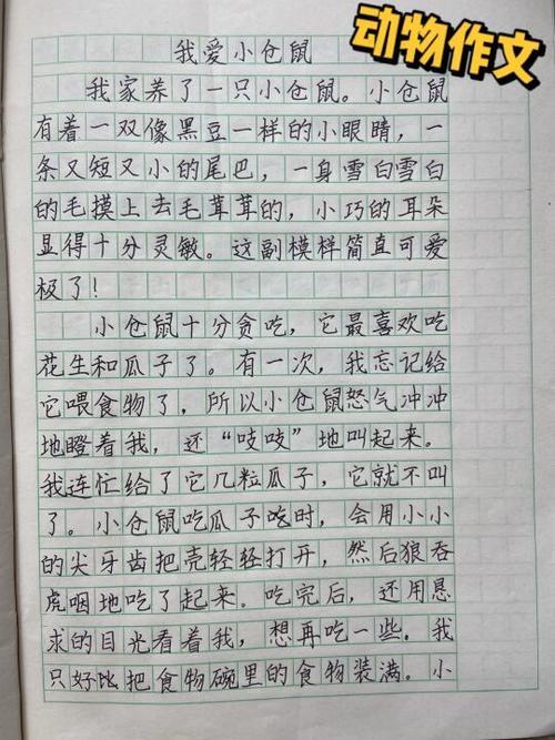 我家的小猫作文300字