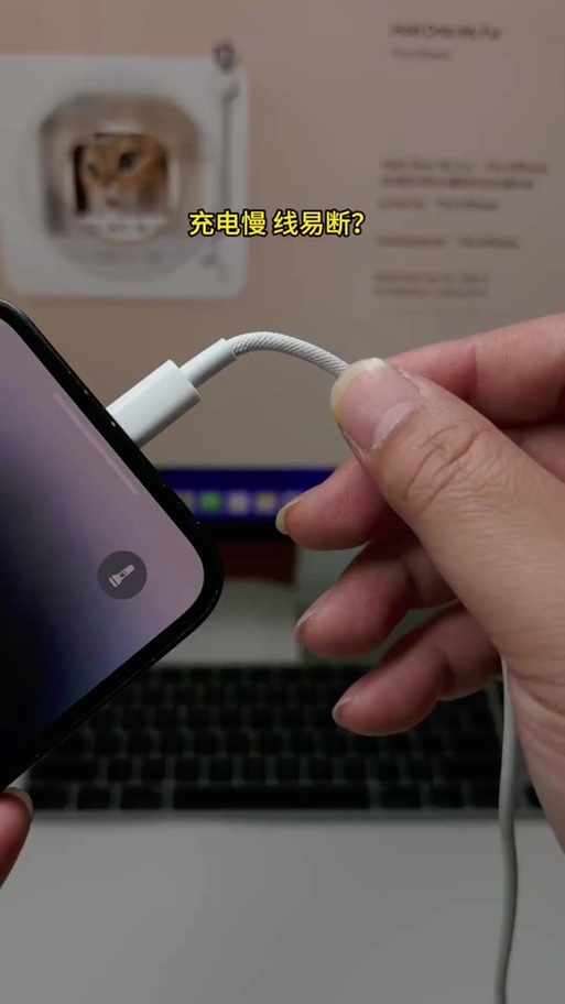 电话充电时总是闪断