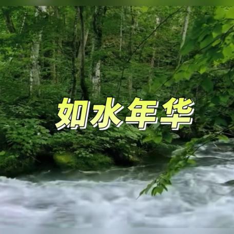 如水年华一般指什么人图标