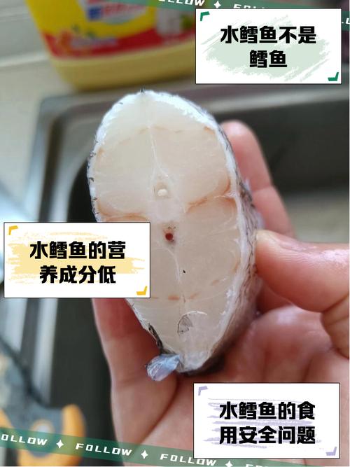水鳕鱼买了扔掉