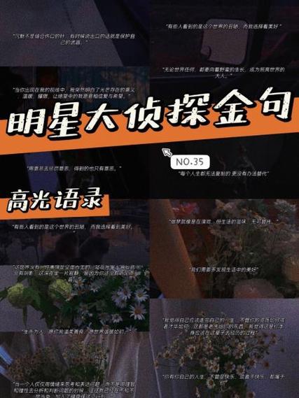 明星大侦探4温暖语录