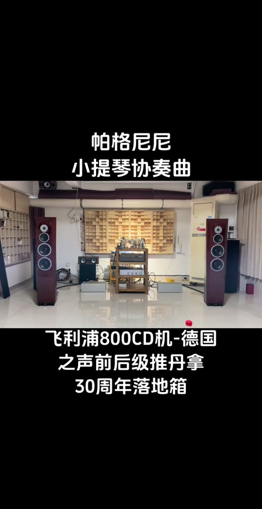 最近很火的颤音歌曲