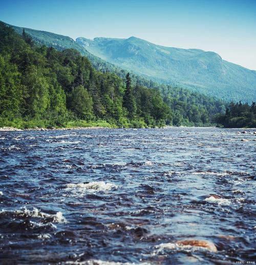 逆水寒剑的介绍