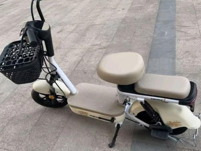 中国飞鸽电动车