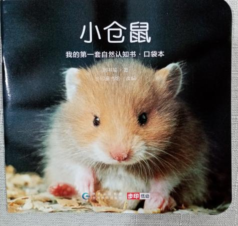 我的动物朋友小仓鼠作文