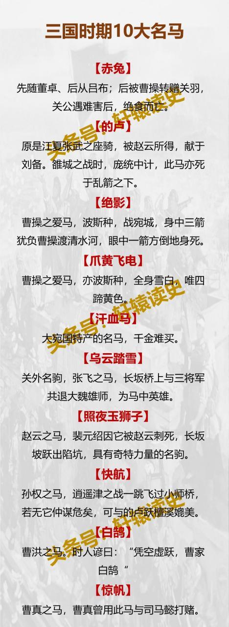 中国名马排名第一