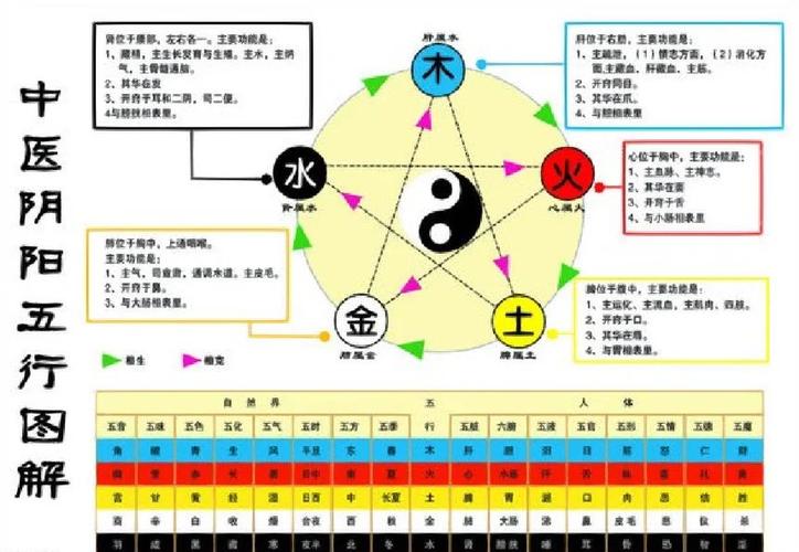 中医五行必背口诀