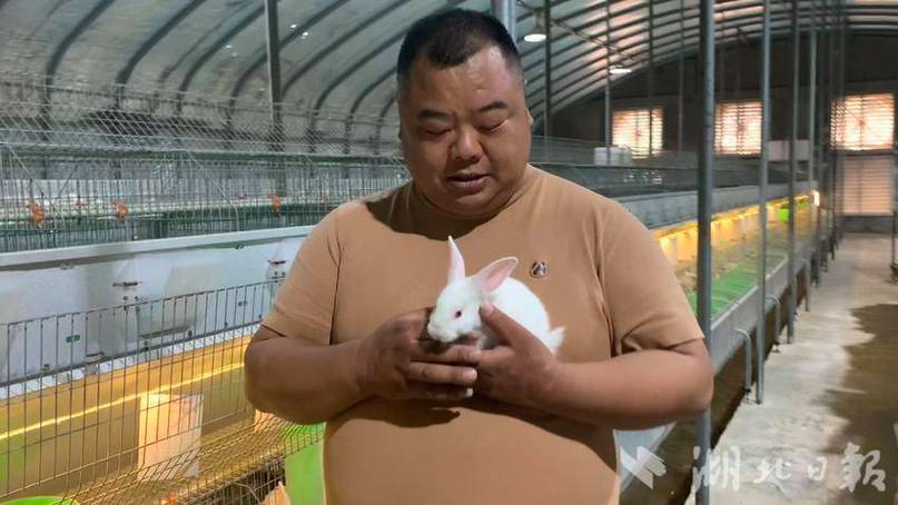 养兔一年能赚多少钱