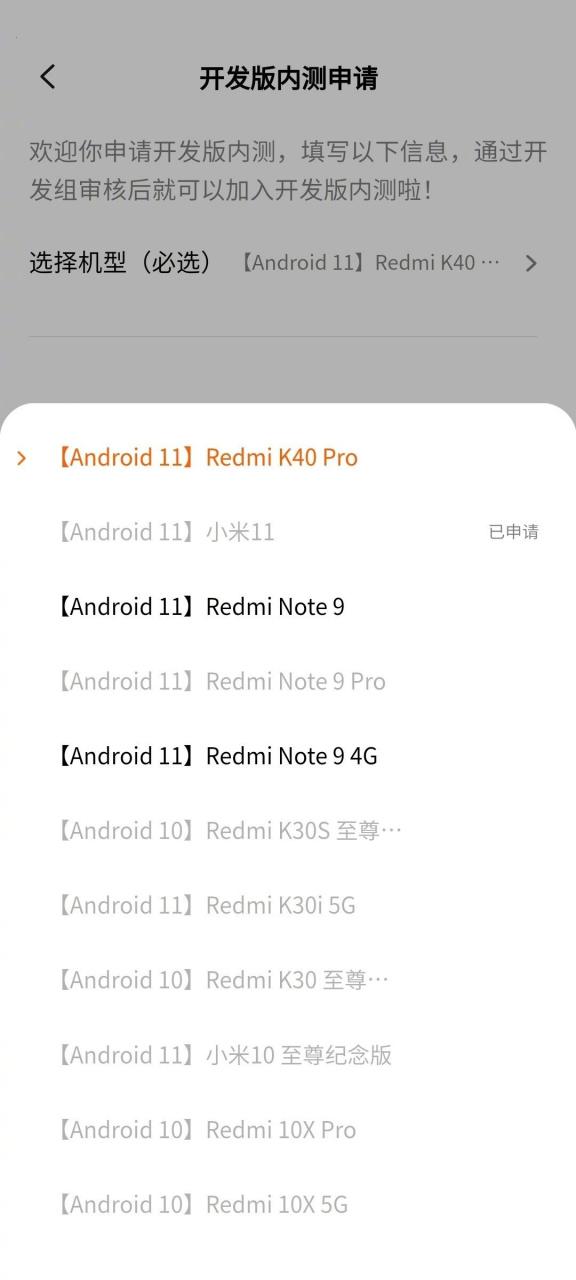k40开发版公测下载