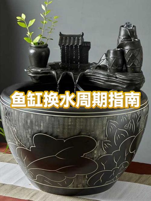 给小鱼缸换水的正确方法