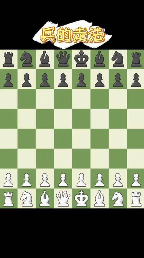 国际象棋初学入门图标